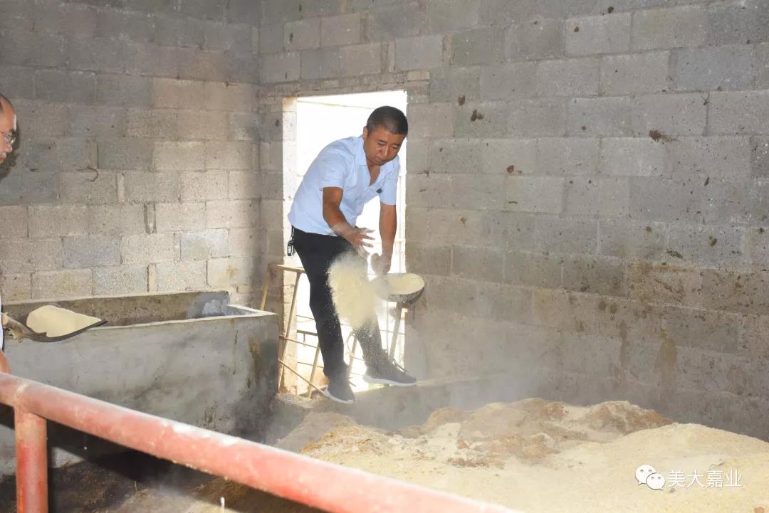 深山里綻放的科技之花，科學(xué)養(yǎng)殖模式助力農(nóng)村創(chuàng)業(yè)